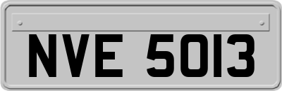 NVE5013