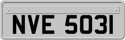 NVE5031