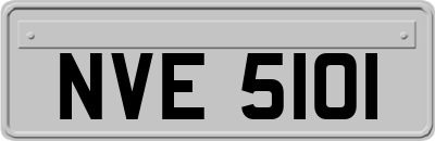 NVE5101