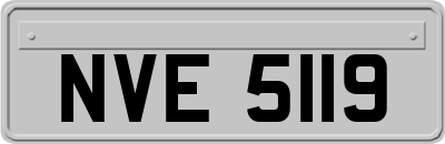 NVE5119