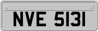 NVE5131