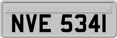 NVE5341