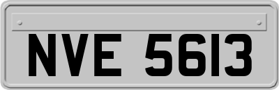 NVE5613