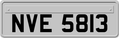 NVE5813