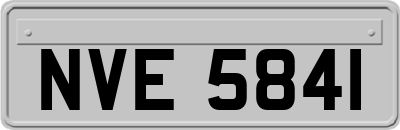 NVE5841