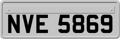 NVE5869