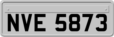 NVE5873