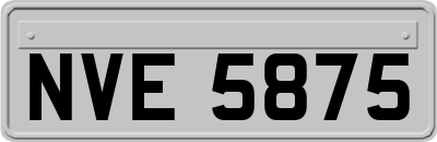 NVE5875