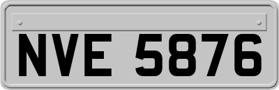 NVE5876