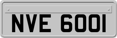NVE6001