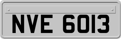 NVE6013
