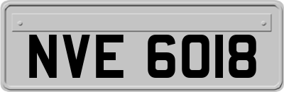 NVE6018