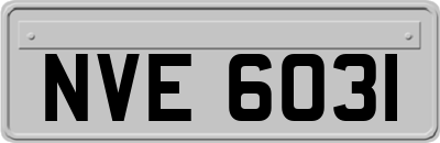 NVE6031