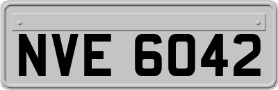 NVE6042