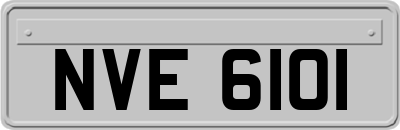 NVE6101