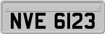 NVE6123
