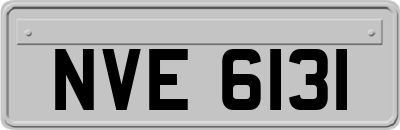 NVE6131