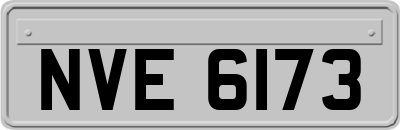 NVE6173