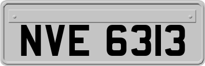 NVE6313
