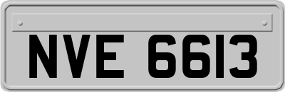 NVE6613