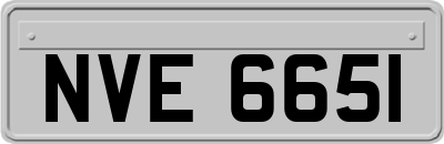 NVE6651