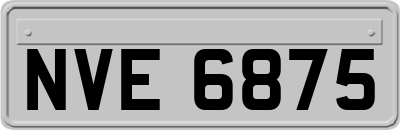 NVE6875