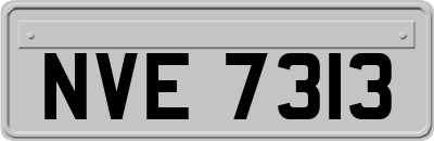 NVE7313