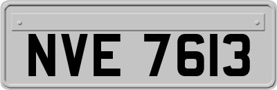 NVE7613