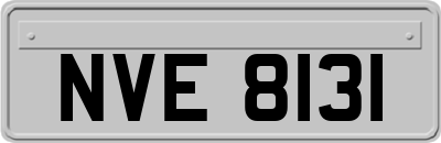NVE8131