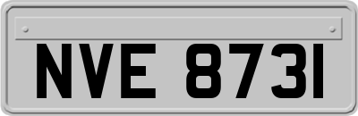 NVE8731