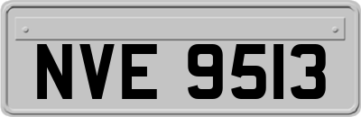 NVE9513