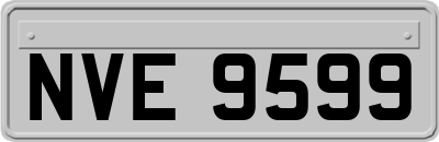 NVE9599