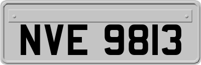 NVE9813