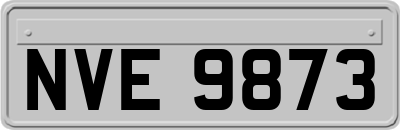 NVE9873