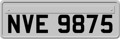 NVE9875