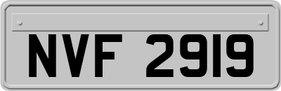 NVF2919