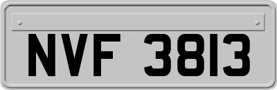 NVF3813