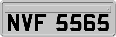 NVF5565