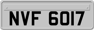 NVF6017