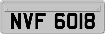 NVF6018