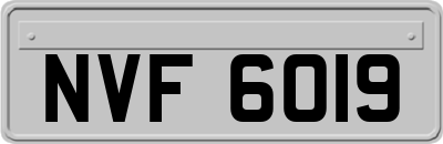 NVF6019