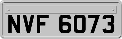 NVF6073
