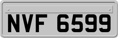 NVF6599