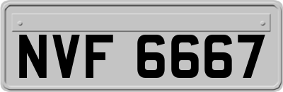 NVF6667