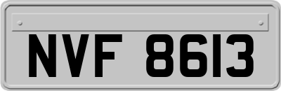 NVF8613
