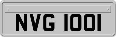 NVG1001