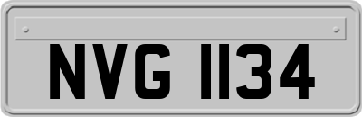 NVG1134