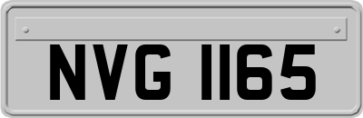 NVG1165