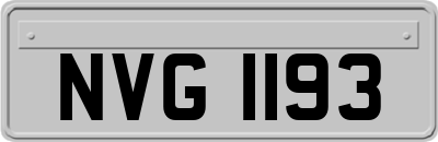 NVG1193