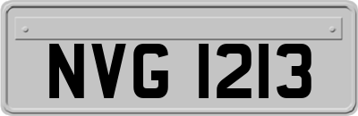 NVG1213